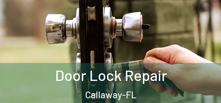 Door Lock Repair Callaway-FL