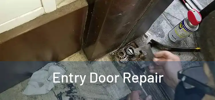 Entry Door Repair